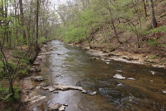 Montgomery-Bell-State-Park-4-Mile-Creek