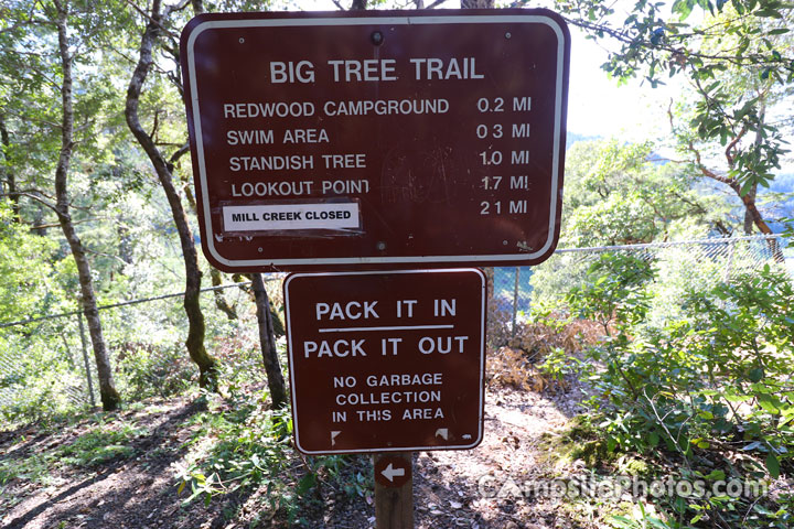 Standish-Hickey State Park Big Tree Trail