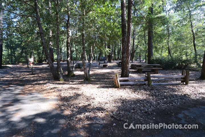 Standish-Hickey State Park Picnic Area