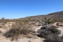 Saddleback Butte State Park Desert View