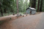 Richardson Grove State Park Madrone Cabin 010