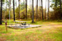 Georgia Veterans Memorial State Park Primitive Campsite 001