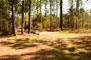 Georgia Veterans Memorial State Park Primitive Campsite 003