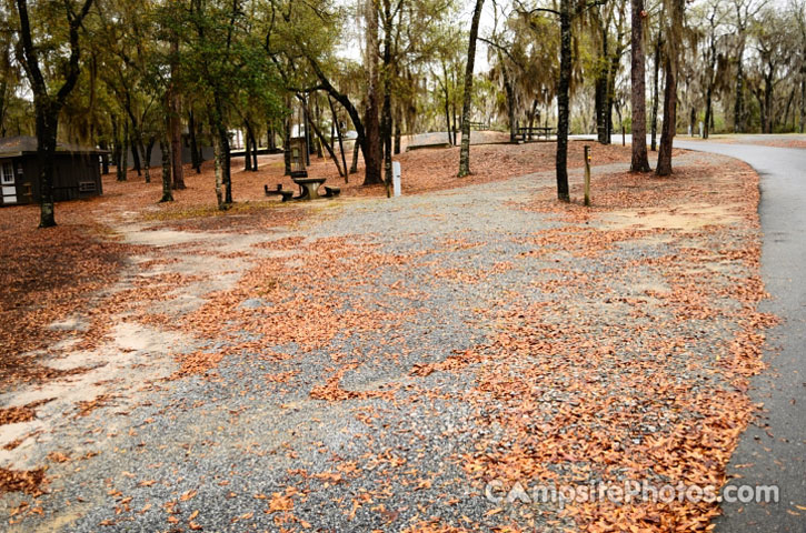 Little Ocmulgee State Park 029