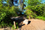Lake Chelan State Park 048