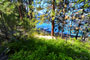 Lake Chelan State Park 064