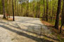 Hart State Outdoor Recreation Area 033