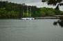 Hart State Outdoor Recreation Area Lake Hartwell View