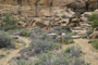 Chaco Culture National Historic Park Gallo Campground 041
