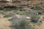 Chaco Culture National Historic Park Gallo Campground 042