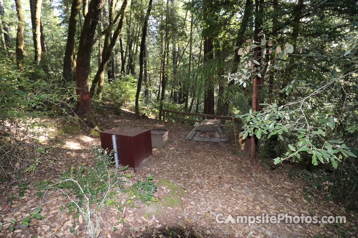 Humboldt Redwoods State Park Hidden Springs 058