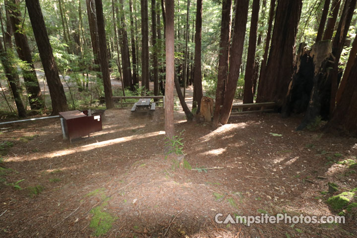Humboldt Redwoods State Park Hidden Springs 086