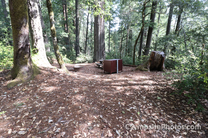 Humboldt Redwoods State Park Hidden Springs 125