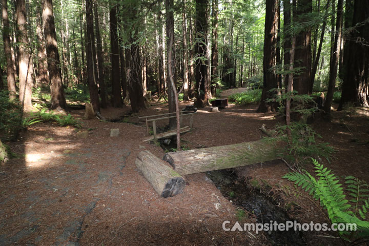 Humboldt Redwoods State Park Hidden Springs 145