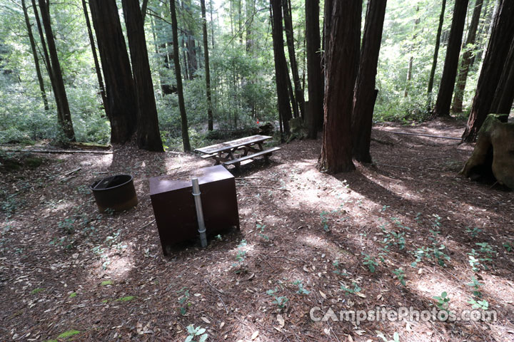 Humboldt Redwoods State Park Hidden Springs 150