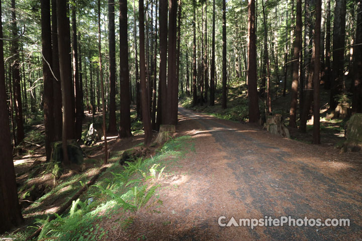 Humboldt Redwoods State Park Hidden Springs Campground View