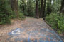 Humboldt Redwoods State Park Hidden Springs 004