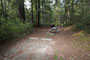 Humboldt Redwoods State Park Hidden Springs 014