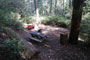 Humboldt Redwoods State Park Hidden Springs 028