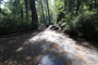 Humboldt Redwoods State Park Hidden Springs 043