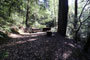 Humboldt Redwoods State Park Hidden Springs 053