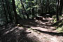 Humboldt Redwoods State Park Hidden Springs 060