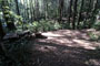 Humboldt Redwoods State Park Hidden Springs 065