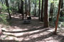 Humboldt Redwoods State Park Hidden Springs 066