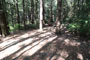 Humboldt Redwoods State Park Hidden Springs 077