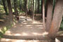 Humboldt Redwoods State Park Hidden Springs 085