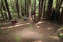 Humboldt Redwoods State Park Hidden Springs 086