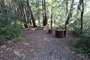 Humboldt Redwoods State Park Hidden Springs 089