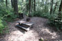 Humboldt Redwoods State Park Hidden Springs 102