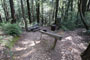Humboldt Redwoods State Park Hidden Springs 109
