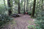Humboldt Redwoods State Park Hidden Springs 131