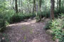 Humboldt Redwoods State Park Hidden Springs 140