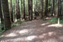 Humboldt Redwoods State Park Hidden Springs 142