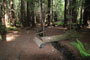 Humboldt Redwoods State Park Hidden Springs 145