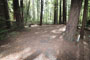 Humboldt Redwoods State Park Hidden Springs 149