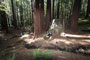 Humboldt Redwoods State Park Hidden Springs View