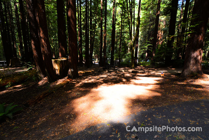 Humboldt Redwoods State Park Burlington 011