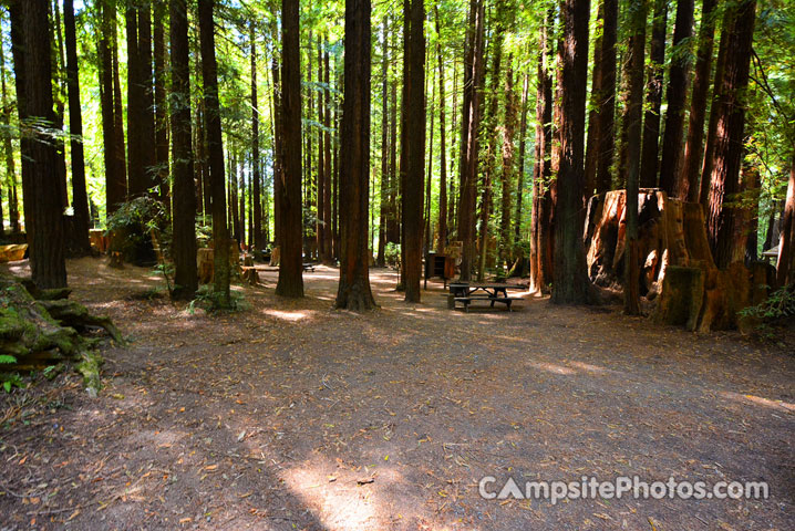 Humboldt Redwoods State Park Burlington 015