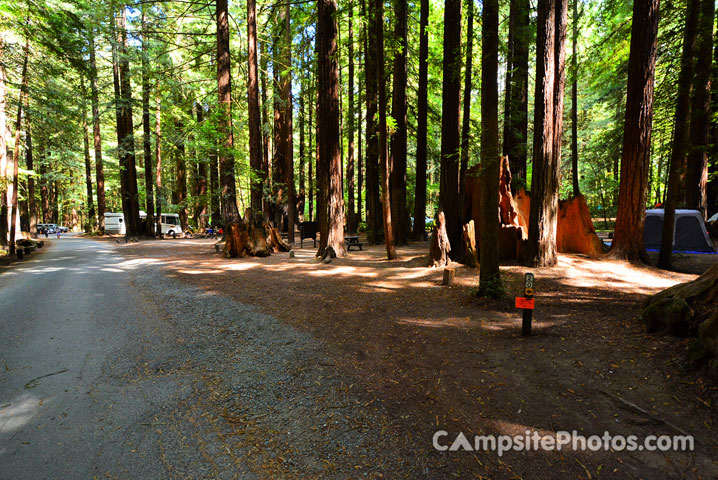 Humboldt Redwoods State Park Burlington 020