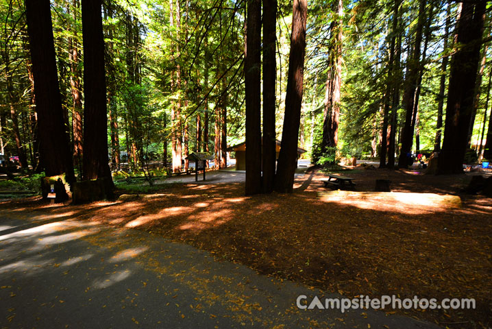 Humboldt Redwoods State Park Burlington 039