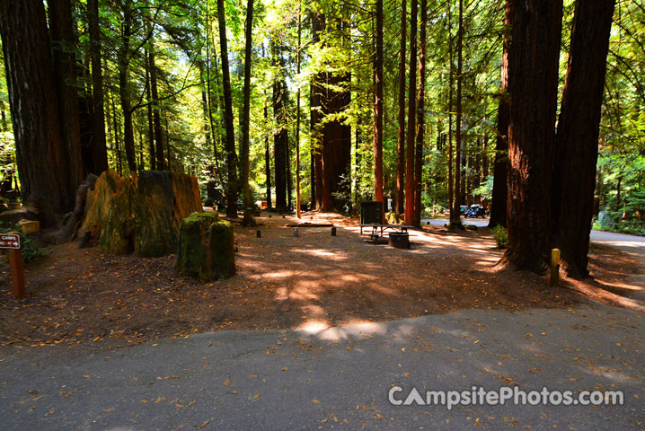 Humboldt Redwoods State Park Burlington 042