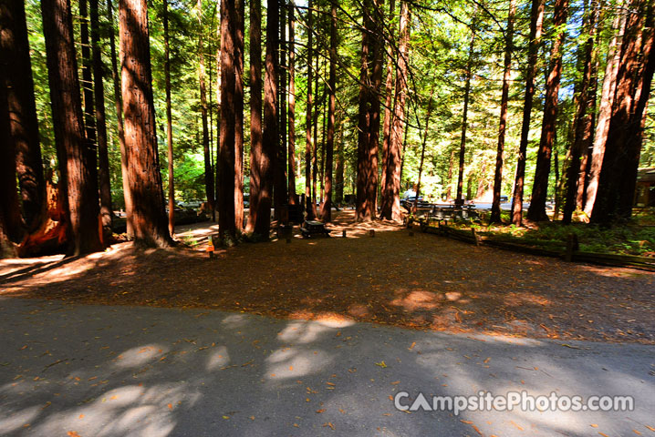 Humboldt Redwoods State Park Burlington 043