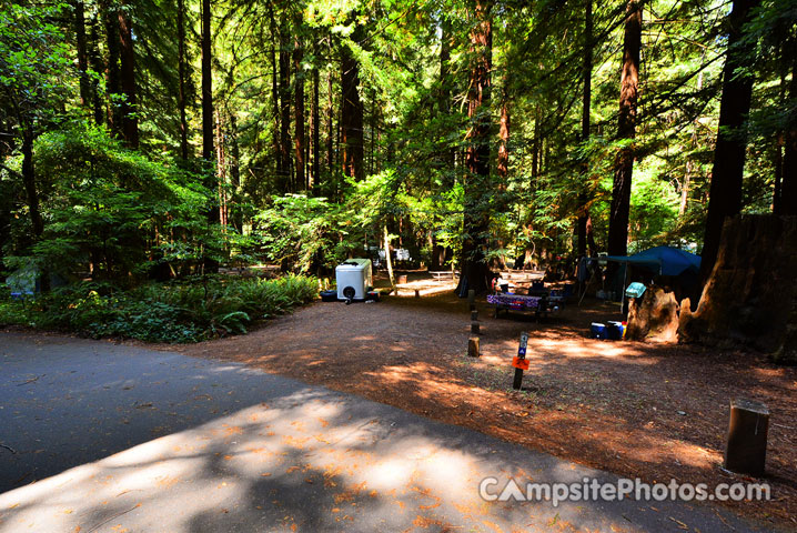 Humboldt Redwoods State Park Burlington 045