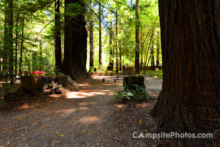 Humboldt Redwoods State Park Burlington 051