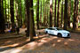 Humboldt Redwoods State Park Burlington 007