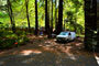 Humboldt Redwoods State Park Burlington 012